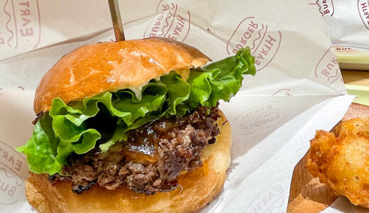 【金沢ランチ】EARTH BURGER（アースバーガー）さんの肉厚国産牛100％のパティの絶品ハンバーガー