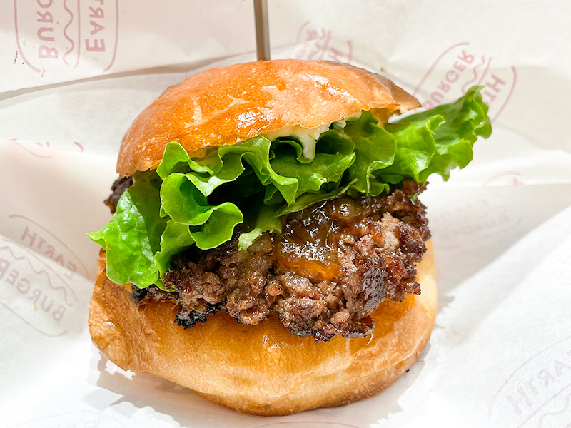 金沢ランチ「EARTH BURGER（アースバーガー）」