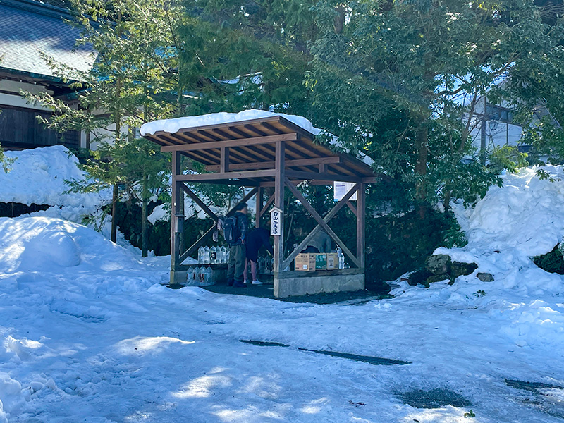 しらやまさん（白山比咩神社）車お祓い