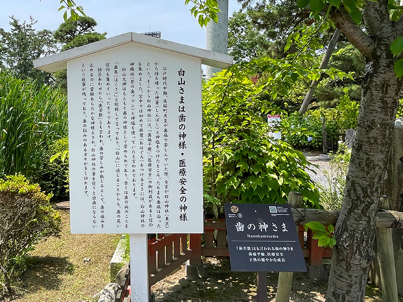 新潟総鎮守 白山神社（はくさんじんじゃ）