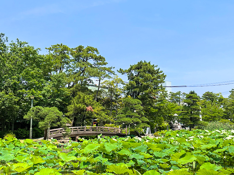 新潟総鎮守 白山神社（はくさんじんじゃ）