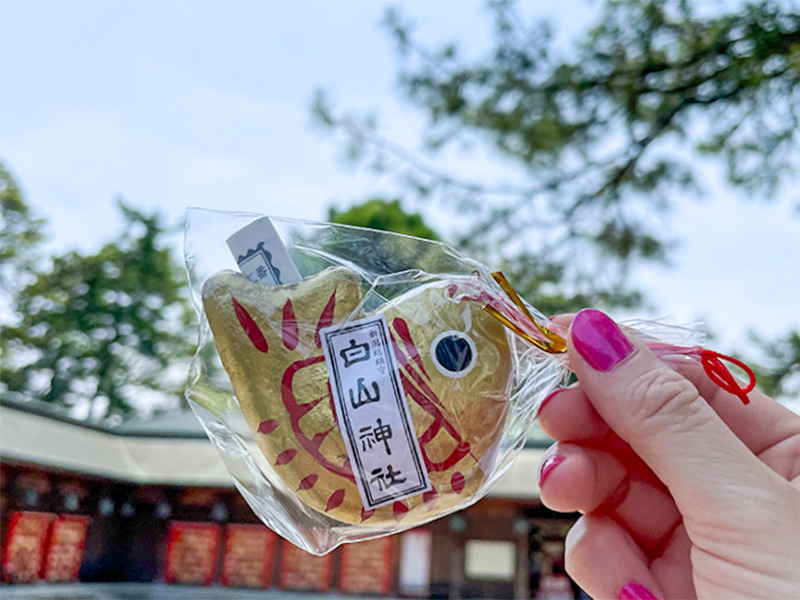 新潟白山神社鯛みくじ