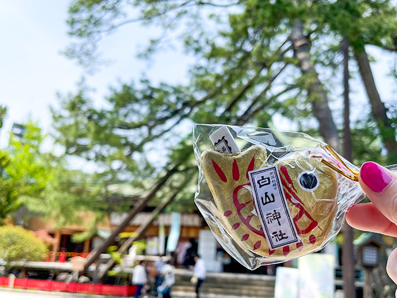 新潟白山神社鯛みくじ