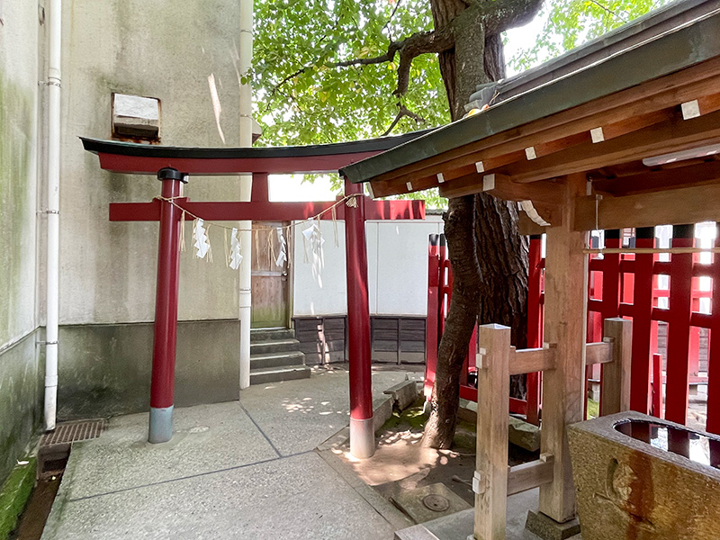 新潟白山神社・蛇松神社