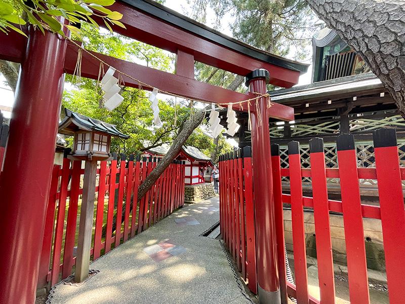 新潟白山神社・蛇松神社