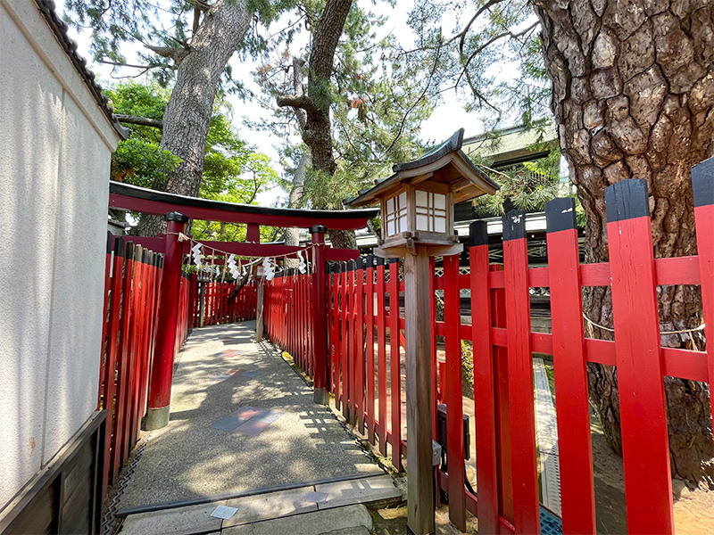 新潟白山神社・蛇松神社