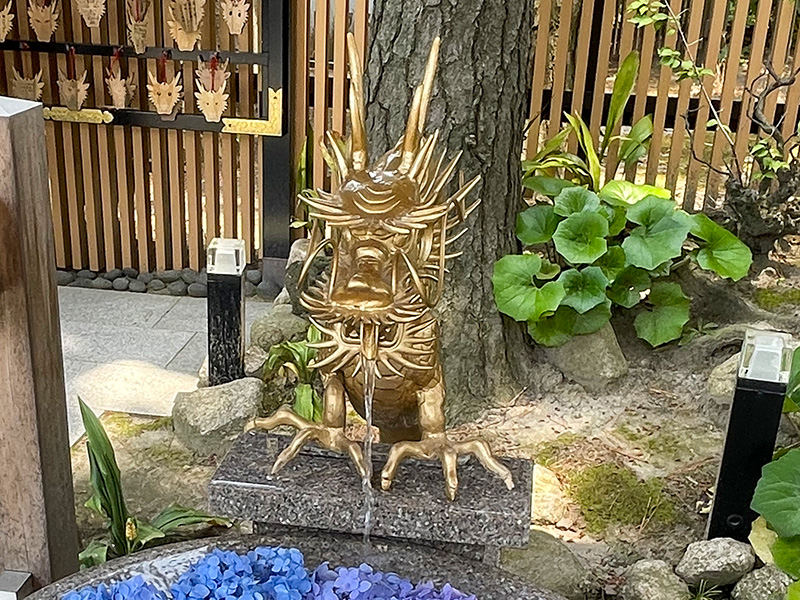 白山神社　水みくじ