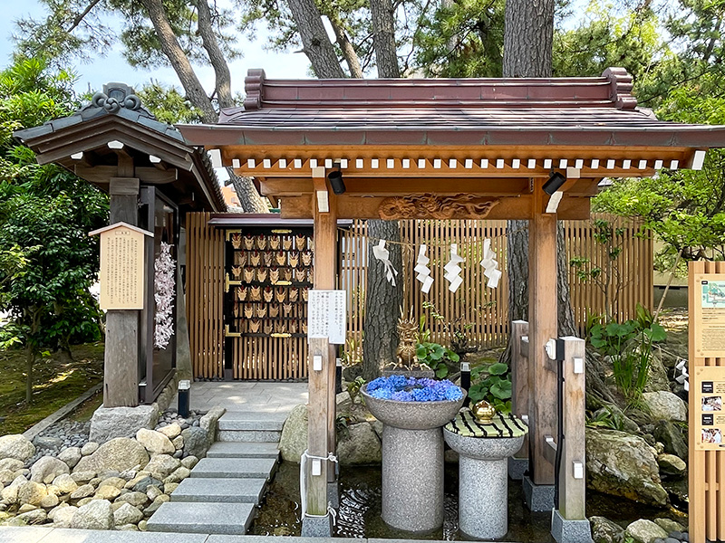 白山神社　水みくじ