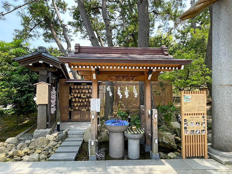 白山神社　水みくじ