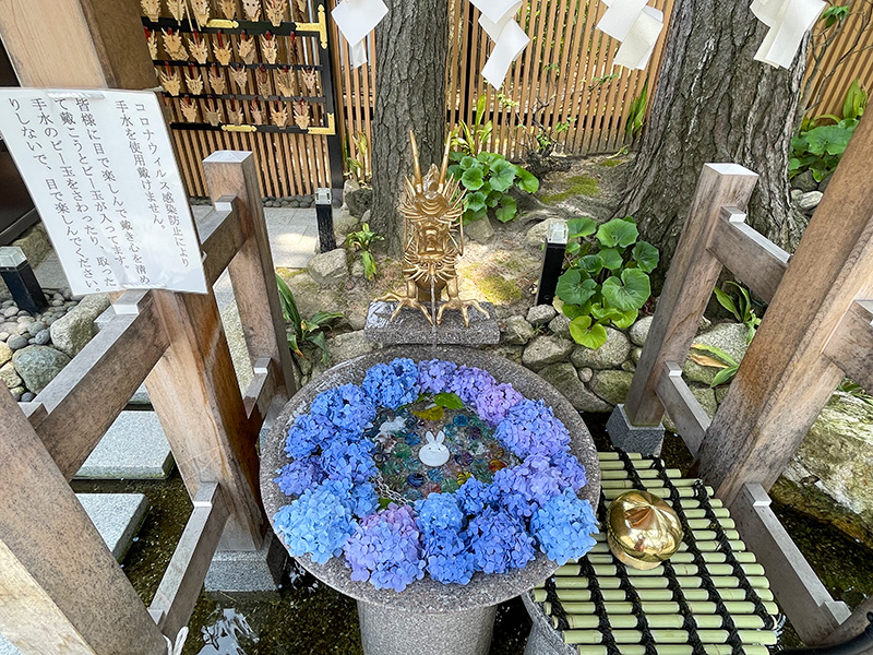 白山神社　水みくじ