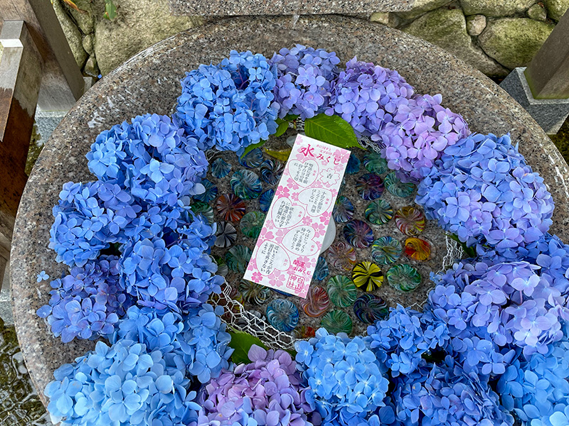 白山神社　水みくじ