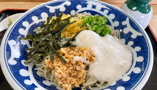 【新潟】市役所近くの「そば処 新更科」で暑さ乗り切る冷やしなっとろ蕎麦！