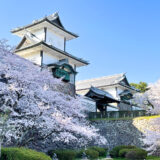 【花見】小松の「十二ヶ滝」では美しい桜と滝の共演が見れるよ