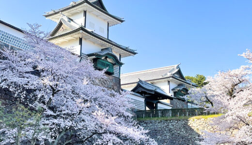 【名古屋】金運招福・商売繁盛の金神社の「招き猫みくじ」と「招き猫の福招き守り」