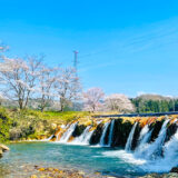【花見】小松の「十二ヶ滝」では美しい桜と滝の共演が見れるよ