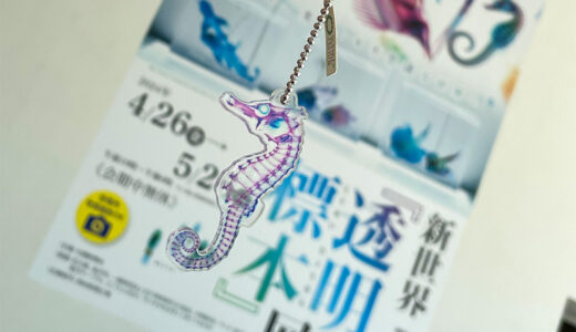 『透明標本』展で美しくも不思議な世界に触れてきた