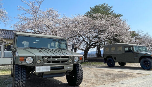 陸上自衛隊金沢駐屯地の『さくら観賞会』へお花見に♪やっぱり春は桜ですね